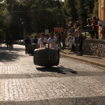 serrone 2014 (18)